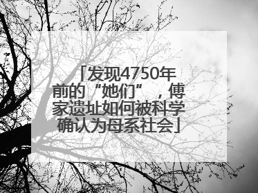 发现4750年前的“她们”，傅家遗址如何被科学确认为母系社会