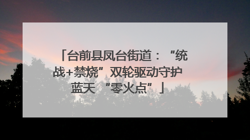 台前县凤台街道：“统战+禁烧”双轮驱动守护蓝天 “零火点”