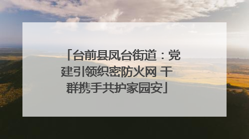 台前县凤台街道：党建引领织密防火网 干群携手共护家园安