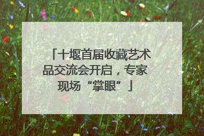 十堰首届收藏艺术品交流会开启，专家现场“掌眼”