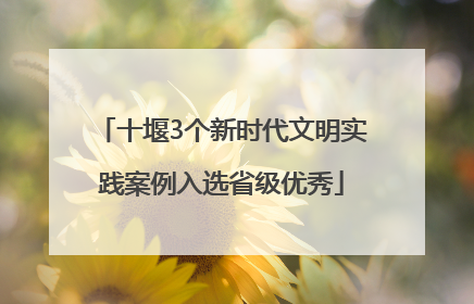 十堰3个新时代文明实践案例入选省级优秀