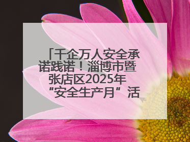 千企万人安全承诺践诺！淄博市暨张店区2025年“安全生产月”活动启动