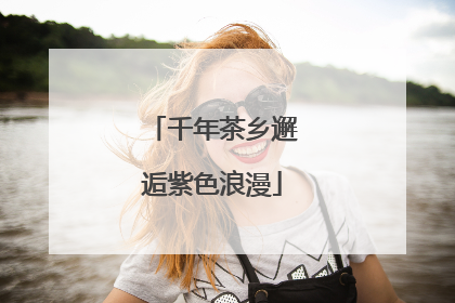 千年茶乡邂逅紫色浪漫