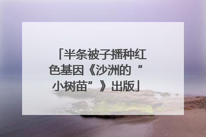 半条被子播种红色基因《沙洲的“小树苗”》出版