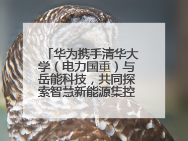 华为携手清华大学（电力国重）与岳能科技，共同探索智慧新能源集控新未来