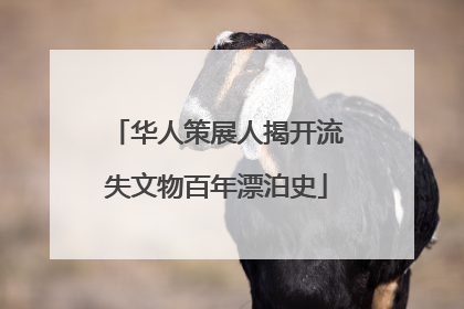 华人策展人揭开流失文物百年漂泊史