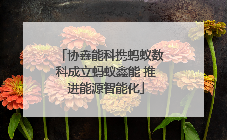 协鑫能科携蚂蚁数科成立蚂蚁鑫能 推进能源智能化