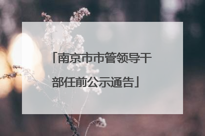 南京市市管领导干部任前公示通告
