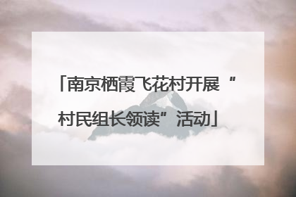 南京栖霞飞花村开展“村民组长领读”活动