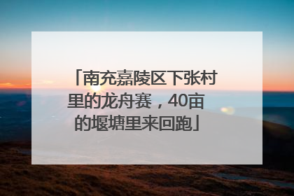 南充嘉陵区下张村里的龙舟赛，40亩的堰塘里来回跑