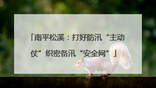 南平松溪：打好防汛“主动仗”织密备汛“安全网”