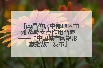 南昌位居中部地区前列 战略支点作用凸显——“中国城市网络形象指数”发布