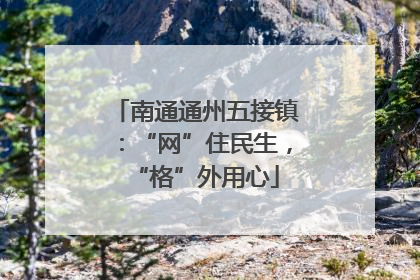 南通通州五接镇：“网”住民生，“格”外用心