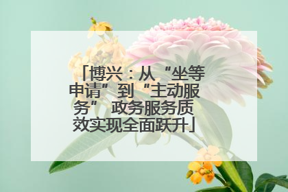 博兴：从“坐等申请”到“主动服务” 政务服务质效实现全面跃升