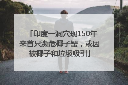 印度一洞穴现150年来首只濒危椰子蟹，或因被椰子和垃圾吸引
