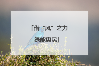 借“风”之力 绿能惠民