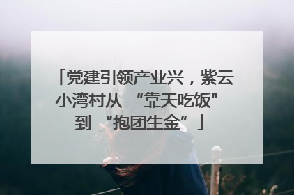 党建引领产业兴，紫云小湾村从 “靠天吃饭” 到 “抱团生金”