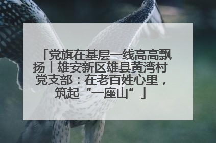 党旗在基层一线高高飘扬丨雄安新区雄县黄湾村党支部：在老百姓心里，筑起“一座山”