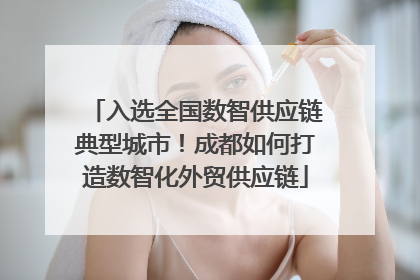 入选全国数智供应链典型城市！成都如何打造数智化外贸供应链