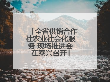 全省供销合作社农业社会化服务 现场推进会在泰兴召开