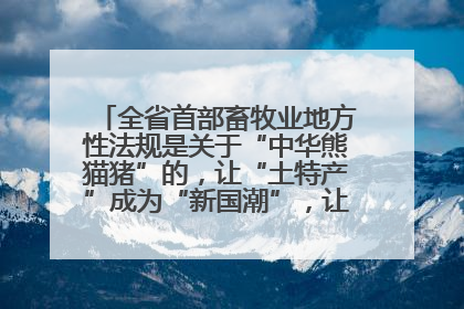 全省首部畜牧业地方性法规是关于“中华熊猫猪”的，让“土特产”成为“新国潮”，让“农产品”升格为“城市IP”