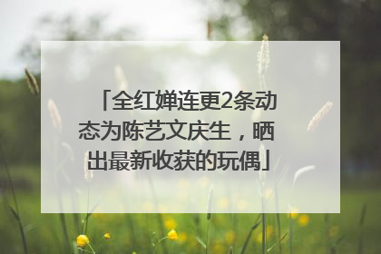 全红婵连更2条动态为陈艺文庆生，晒出最新收获的玩偶