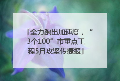 全力跑出加速度，“3个100”市重点工程5月攻坚传捷报