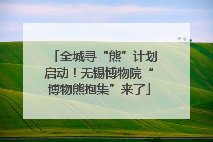 全城寻“熊”计划启动！无锡博物院“博物熊抱集”来了