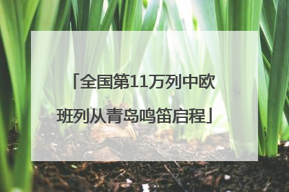 全国第11万列中欧班列从青岛鸣笛启程