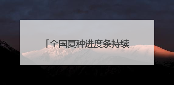 全国夏种进度条持续刷新：多地抢抓农时 筑牢粮食丰收基础