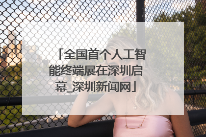 全国首个人工智能终端展在深圳启幕_深圳新闻网