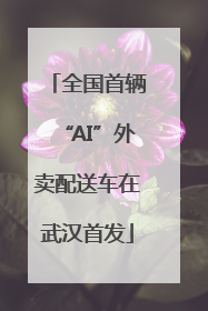 全国首辆“AI”外卖配送车在武汉首发