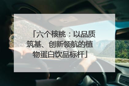 六个核桃：以品质筑基、创新领航的植物蛋白饮品标杆