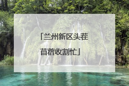 兰州新区头茬苜蓿收割忙