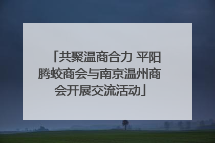 共聚温商合力 平阳腾蛟商会与南京温州商会开展交流活动