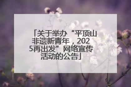 关于举办“平顶山非遗新青年，2025再出发”网络宣传活动的公告
