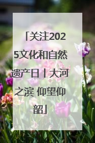 关注2025文化和自然遗产日丨大河之滨 仰望仰韶