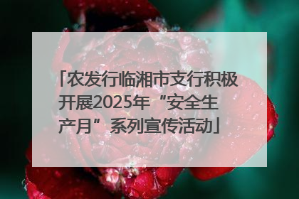 农发行临湘市支行积极开展2025年“安全生产月”系列宣传活动