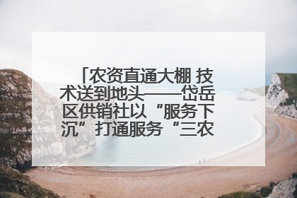 农资直通大棚 技术送到地头——岱岳区供销社以“服务下沉”打通服务“三农”最后一公里
