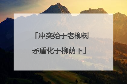 冲突始于老柳树 矛盾化于柳荫下