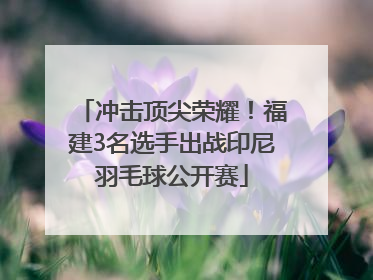 冲击顶尖荣耀！福建3名选手出战印尼羽毛球公开赛