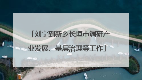 刘宁到新乡长垣市调研产业发展、基层治理等工作