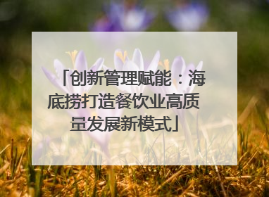 创新管理赋能：海底捞打造餐饮业高质量发展新模式