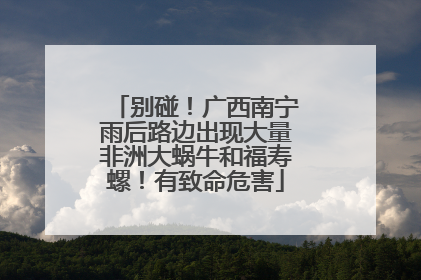 别碰！广西南宁雨后路边出现大量非洲大蜗牛和福寿螺！有致命危害