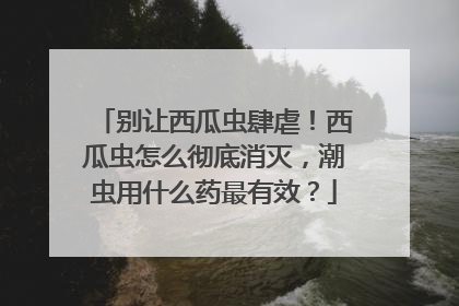 别让西瓜虫肆虐！西瓜虫怎么彻底消灭，潮虫用什么药最有效？