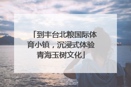 到丰台北粮国际体育小镇，沉浸式体验青海玉树文化