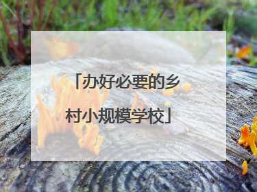 办好必要的乡村小规模学校