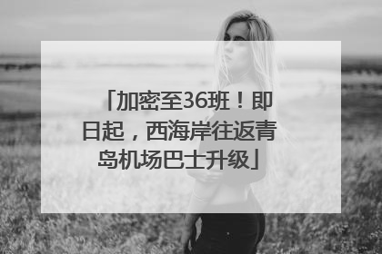 加密至36班！即日起，西海岸往返青岛机场巴士升级