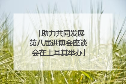 助力共同发展 第八届进博会座谈会在土耳其举办