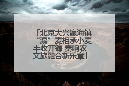 北京大兴瀛海镇“瀛”麦相承小麦丰收开镰 奏响农文旅融合新乐章